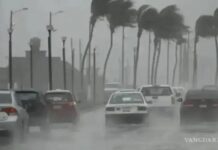 Civil Protection authorities have issued an emergency alert across Jalisco following the formation of Tropical Storm Boris
