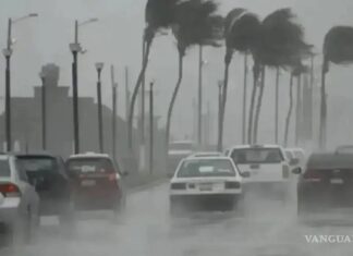 Civil Protection authorities have issued an emergency alert across Jalisco following the formation of Tropical Storm Boris