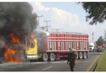Large-scale “high-risk” highway blockade simulation carried out in Guadalajara