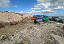 Semarnat cancels real estate project on Las Cocinas beach in Punta Mita to protect turtle habitat