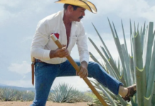 International Tequila Day: Which is the best in Jalisco?