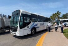 Transforming Regional Mobility: Puerto Vallarta and Nayarit Welcome a Modern Fleet of Sustainable Buses
