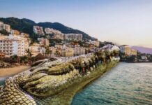 Safety Alert: Authorities Warn of Crocodile Sightings on Certain Puerto Vallarta Beaches