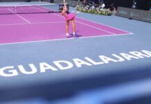 Guadalajara Open Takes Shape Heading Toward Its Fifth Edition